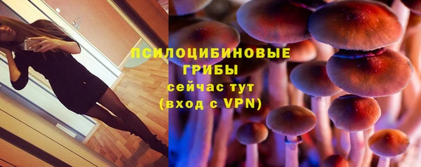 ПСИЛОЦИБИНОВЫЕ ГРИБЫ Белоозёрский