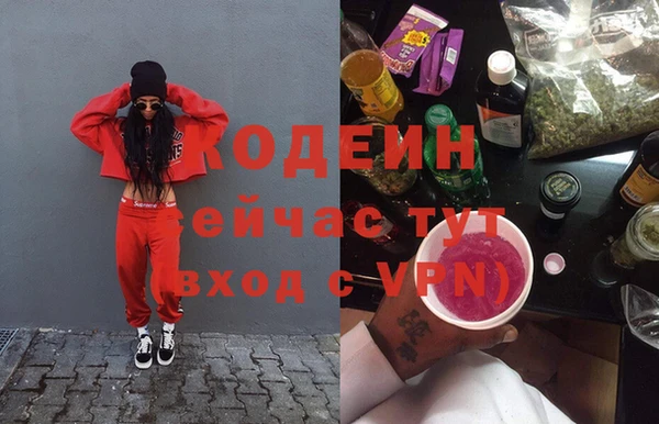крисы Белокуриха