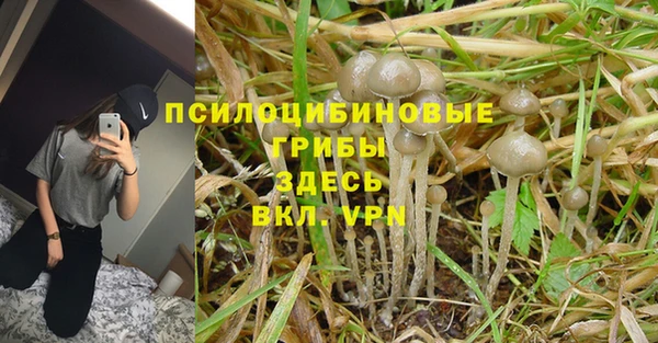 крисы Белокуриха
